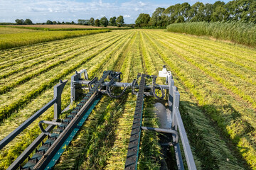 Arrachage de chanvre &agrave; l'aide d'une faucheuse Hyler Sativa 200 en Seine-maritime