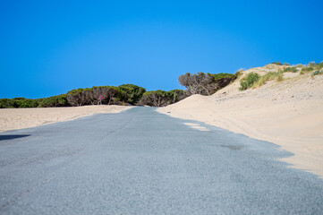 Old road on Valdevaqueros Dune in Tarifa, Strait of Gibraltar, Spain
