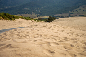 Old road on Valdevaqueros Dune in Tarifa, Strait of Gibraltar, Spain