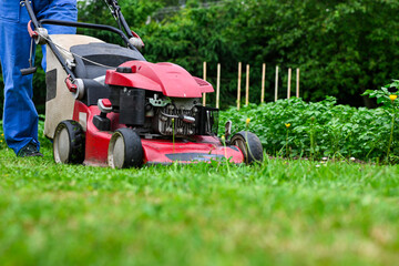Gardener mowing green grass with red lawn mower in garden during summer day