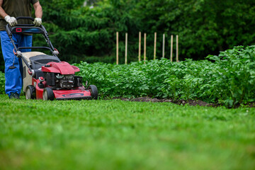Gardener mowing green grass with red lawn mower in garden during summer day
