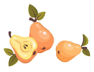Half and whole pear isolated on white background. Fresh ripe fruit with leaves. Organic vitamins. Healthy nutrition food. Vector illustration for healthy lifestyle and good nutrition