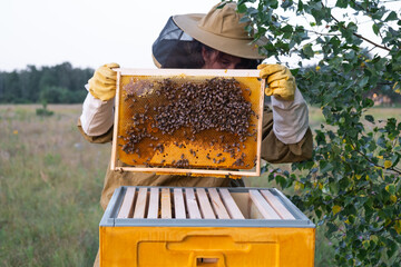 A beekeeper, a woman in a protective suit against bee stings, holds a frame with honey from a bee...