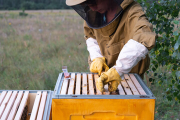 A beekeeper, a woman in a protective suit against bee stings, holds a frame with honey from a bee...