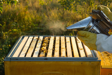 The bee cigarette lighter on the hive fumigates bees with smoke