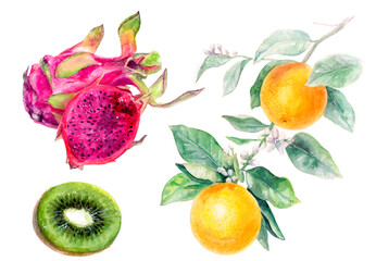 Dragon fruit, kiwi, and orange on white surface, displaying colorful fruits