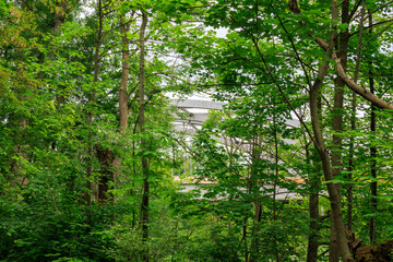 Obraz premium View of parts of the railway arch bridge near Augsburg Hochzoll through the trees of the Lech floodplain forest