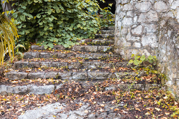 A stone staircase with leaves on it