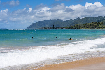 Pounder’s Beach，Windward Coast of Oahu, Hawaii. 