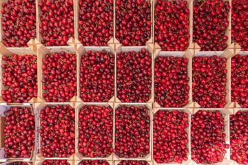 Cherries from Fundão in spring