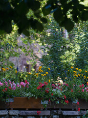 Blumenkasten im Park auf Mauer