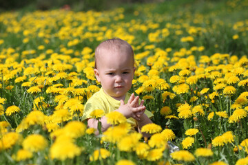 Little cute boy in yellow clothes among dandelions.