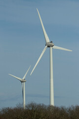 Fototapeta premium wind turbines