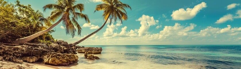 This image captures a serene tropical beach scene, featuring leaning palm trees, rocky shoreline, and crystal clear blue waters under a partly cloudy sky, 