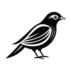 Obraz premium Bird logo design vector template