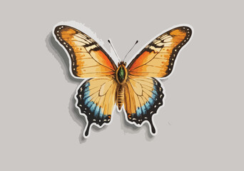 butterfly isolated on white background