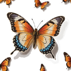 butterfly isolated on white background