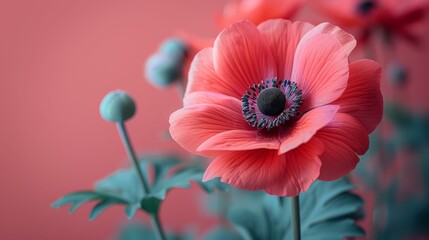 A red flower with green leaves is the main focus of the image