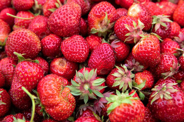 Organically grown strawberries, top view of red berries