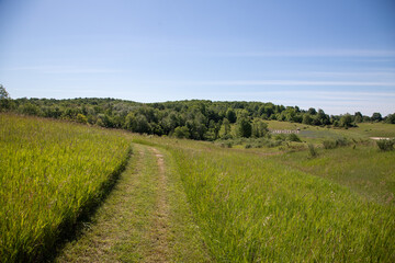 Path through field, hill