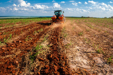 Tractor makes fertilization and liming in Sugar cane field
