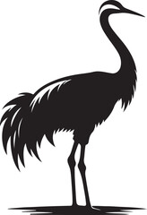 Copsychus saularis Vector Silhouette With white background