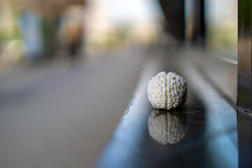 brain model sits forgotten on a parapet by the sidewalk, a surreal blend of anatomy and urbanity