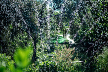 Landscape automatic garden watering system