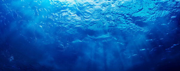 Underwater background with a serene, blue gradient from shallow to deep sea.