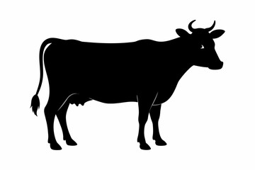 black silhouette cow