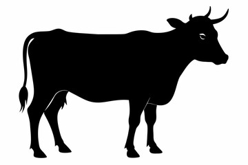 black silhouette cow