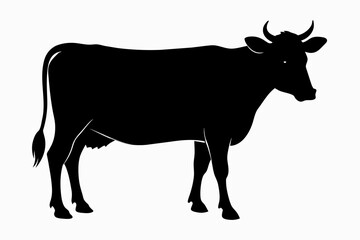 black silhouette cow