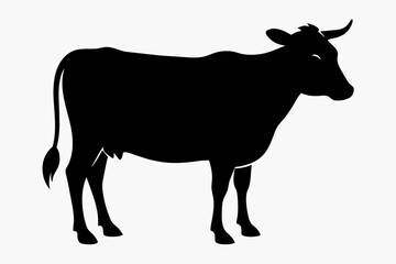 black silhouette cow