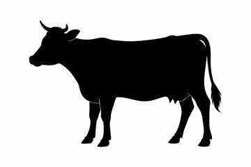 black silhouette cow