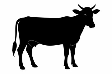 black silhouette cow