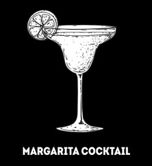 Margarita cocktail illustration. Hand drawn sketch. Vector illustration. Isolated object.