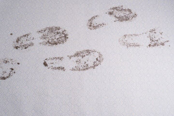 Muddy carpet. Dirty footprints in wet mud, isolated on a white background. dirty stains in daily life for cleaning concept.