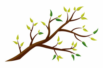 branches vector illustration white background