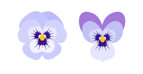 Pansy flowers. Vector set of violet flowers isolated on white background. For print, stickers, cards, logo, invitations.