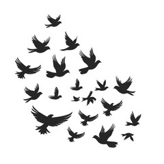 Obraz premium Vector silhouette of a pigeons flock isolated on white background. Pigeons in flight and sitting in different poses.