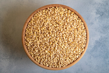 Wooden bowl in wheat grains on light blue background