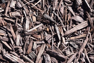 background of wood shavings texture mulch