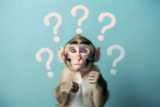 Photo of a monkey with question marks around it, looking confused on a light blue background


