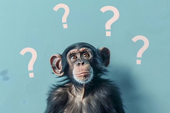 Photo of a monkey with question marks around it, looking confused on a light blue background


