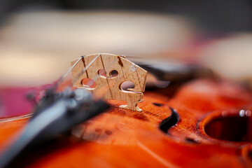 In Torino there's a baroque violin making school. One of the oldest in the country. © Hari Seldon Photo