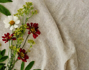 Summer composition. linen background. Top view with copy space. wonderful and simple flowers
