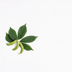 Green beans isolated on white background