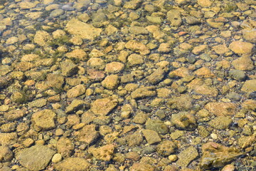 rocks on lake bed water texture beach scene