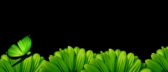 green leaves abstract with butterfly on black background illustration 
