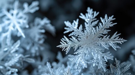 A detailed view of a single snowflake hanging from a tree branch, showcasing intricate patterns and delicate features